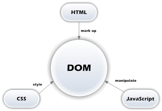 JavaScript Basics